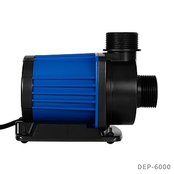 71mZoNpZcKL._UF350,350_QL80_.jpg