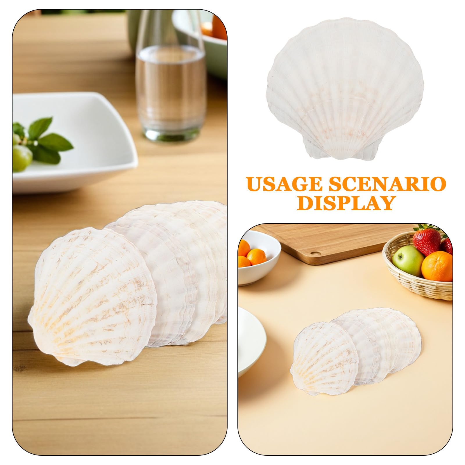Zerodeko 12 Piezas Plato Grande de Conchas Marinas de Color Beige en Forma de Vieira Casera para Almacenar Dulces y Chocolates en Reuniones Familiares y Vida Diaria