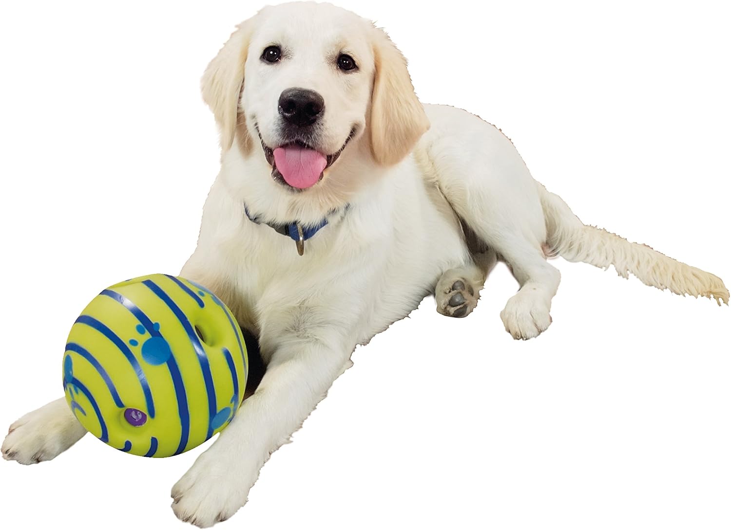 Amazon Allstarinnovations 犬用おもちゃ 音が鳴るボール ギグルボール M サイズ Allstarinnovations オールスターイノベーションズ 音の出るおもちゃ 通販 Amazon Allstarinnovations 犬用おもちゃ 音が鳴るボール ギグルボール M サイズ Allstarinnovations オールスターイノベーションズ 音の出るおもちゃ 通販