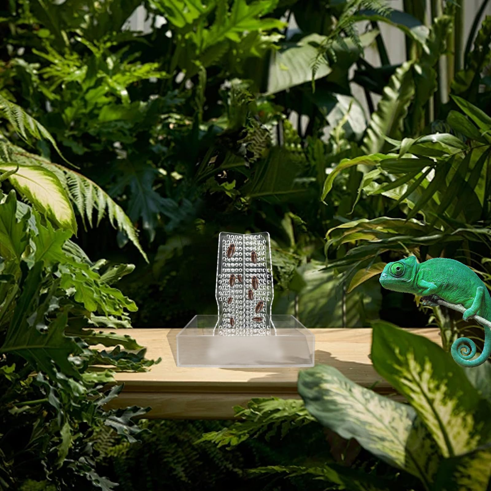 Chameleon Feeder, Transparent Acrylic Bearded Dragon Feeding Bowl, Reptile Terrarium & Aquarium Accessories, Climbable Bug Food Bowl for Lizard Frog Gecko