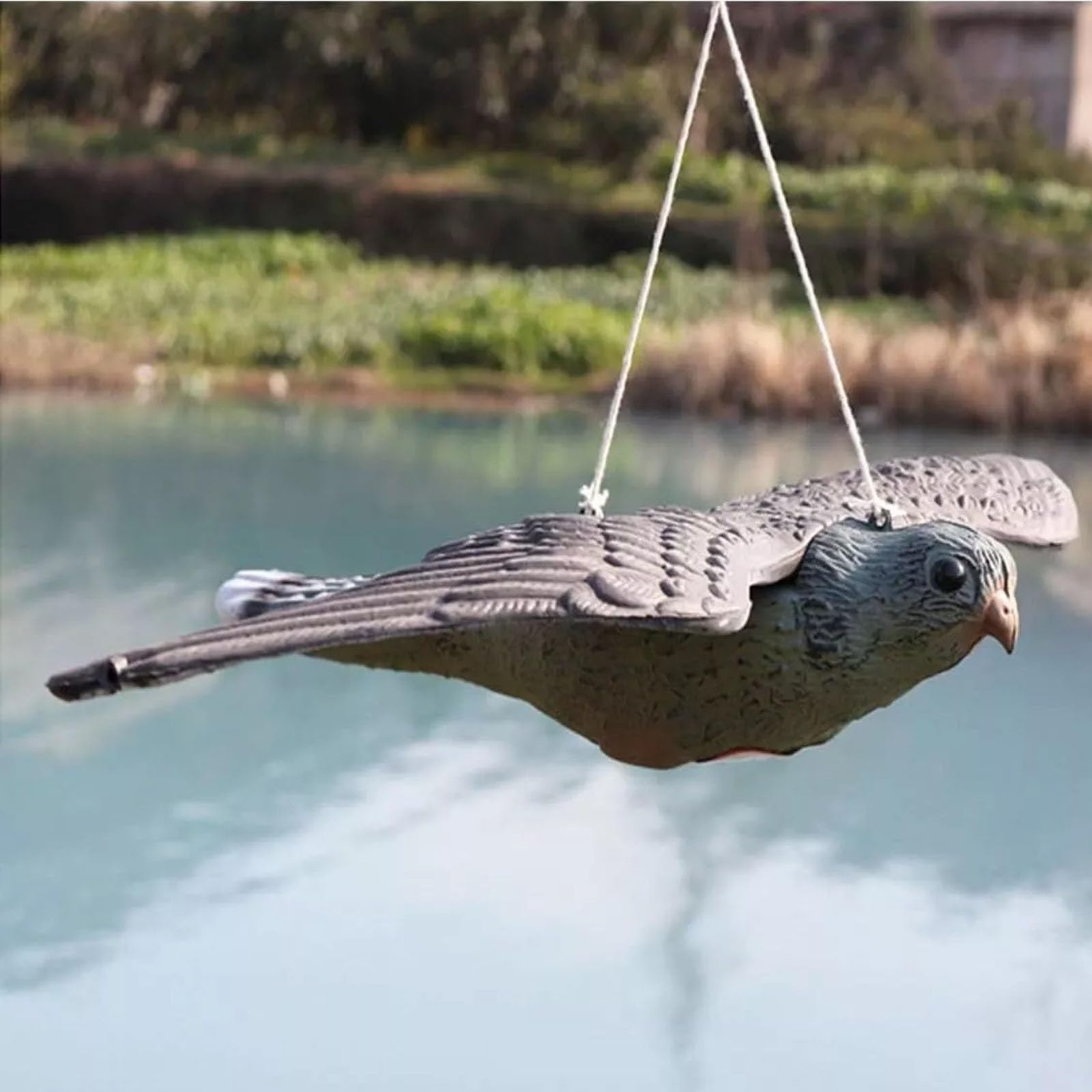 Flying Hawk Falcon Pest Repellent Deterrent Decoy Hawk Scarer Birds Cats Foxes | Flying Falcon Decoy | Lifelike Flying Hawk Decoy Bird Deterrent | Control Cat Bird Repeller