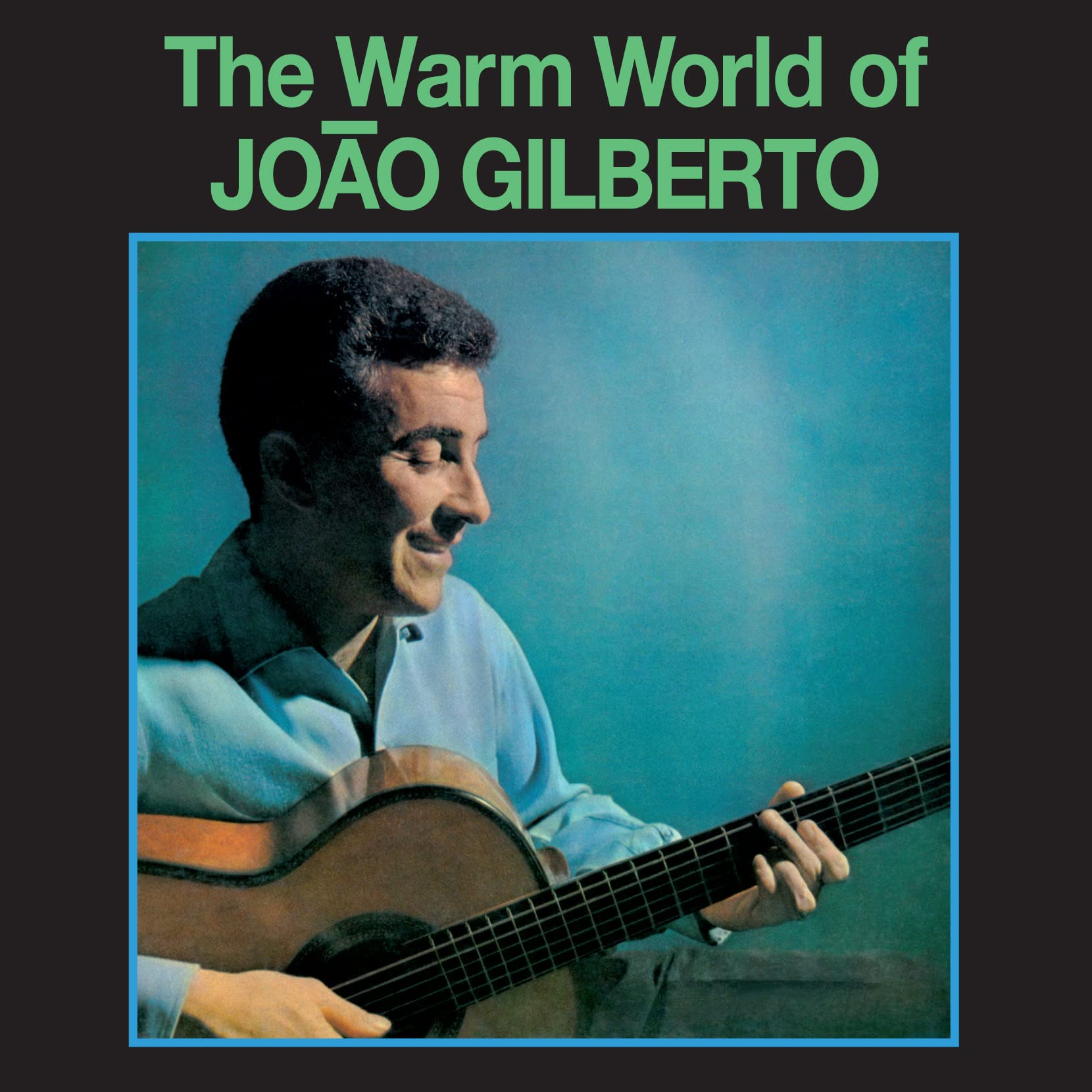 The Warm World Of Joao Gilberto [VINYL]