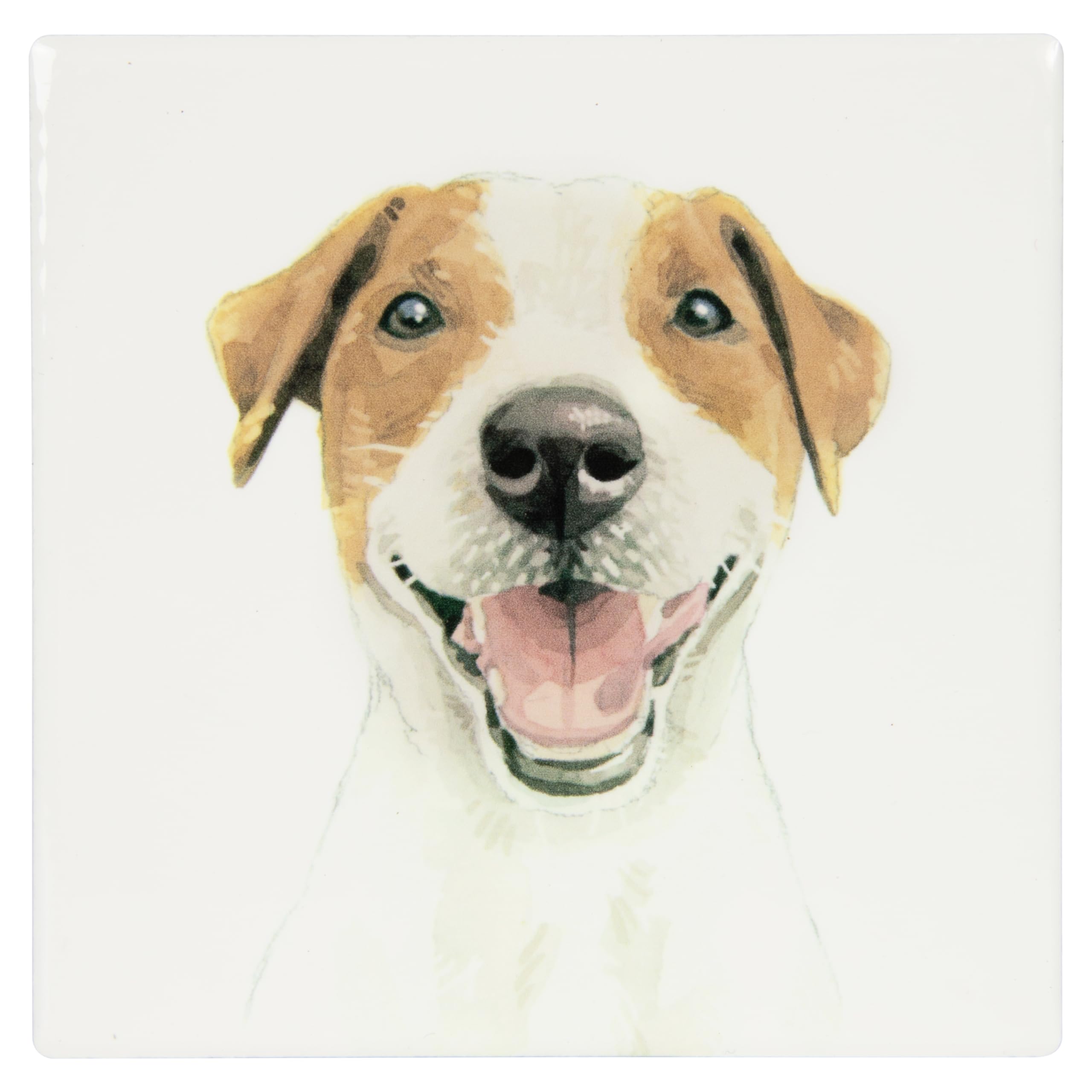 Lesser & Pavey Jack Russell Coaster Robert James Hull For Home & Office | Stylish Coasters For Kitchen & Dining | Durable Drinks Coasters For Tabletops | Decorative Home Accessories for Drinks & Table