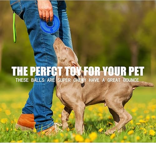 Miniatura 6 de Andiker Juguete chirriante para perro, juguetes masticables seguros de TPR para rechinar los dientes y limpiar los perros, juguetes para mejorar la