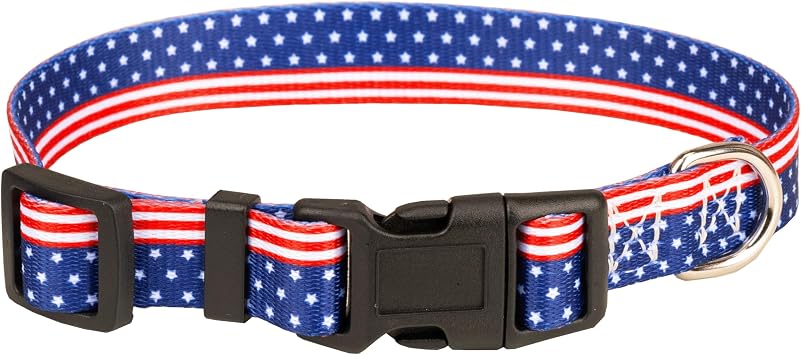 Dog Collar American US Flag Stars Stripes Patriotic Blue Red White Dual D-Rings Small Medium Large Dogs Puppy Pet Vintage S