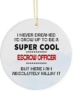 Cool Escrow Officer Appreciation Gift Ornament, Birthday, for Escrow Officer Gift, Coworker, Friends Keepsake Ornaments