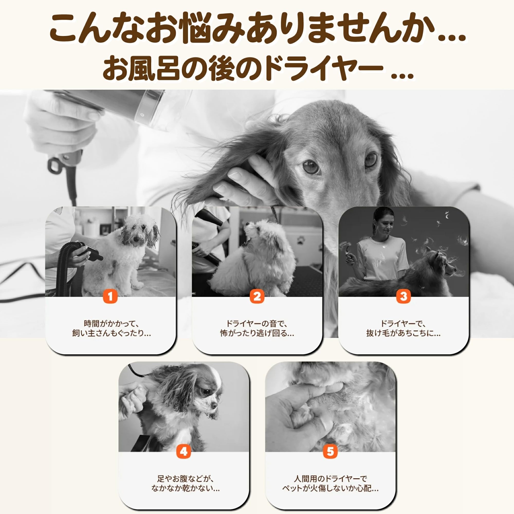 Amazon.co.jp: homerunPET Drybo Ultra 135L ペットドライヤー ルーム