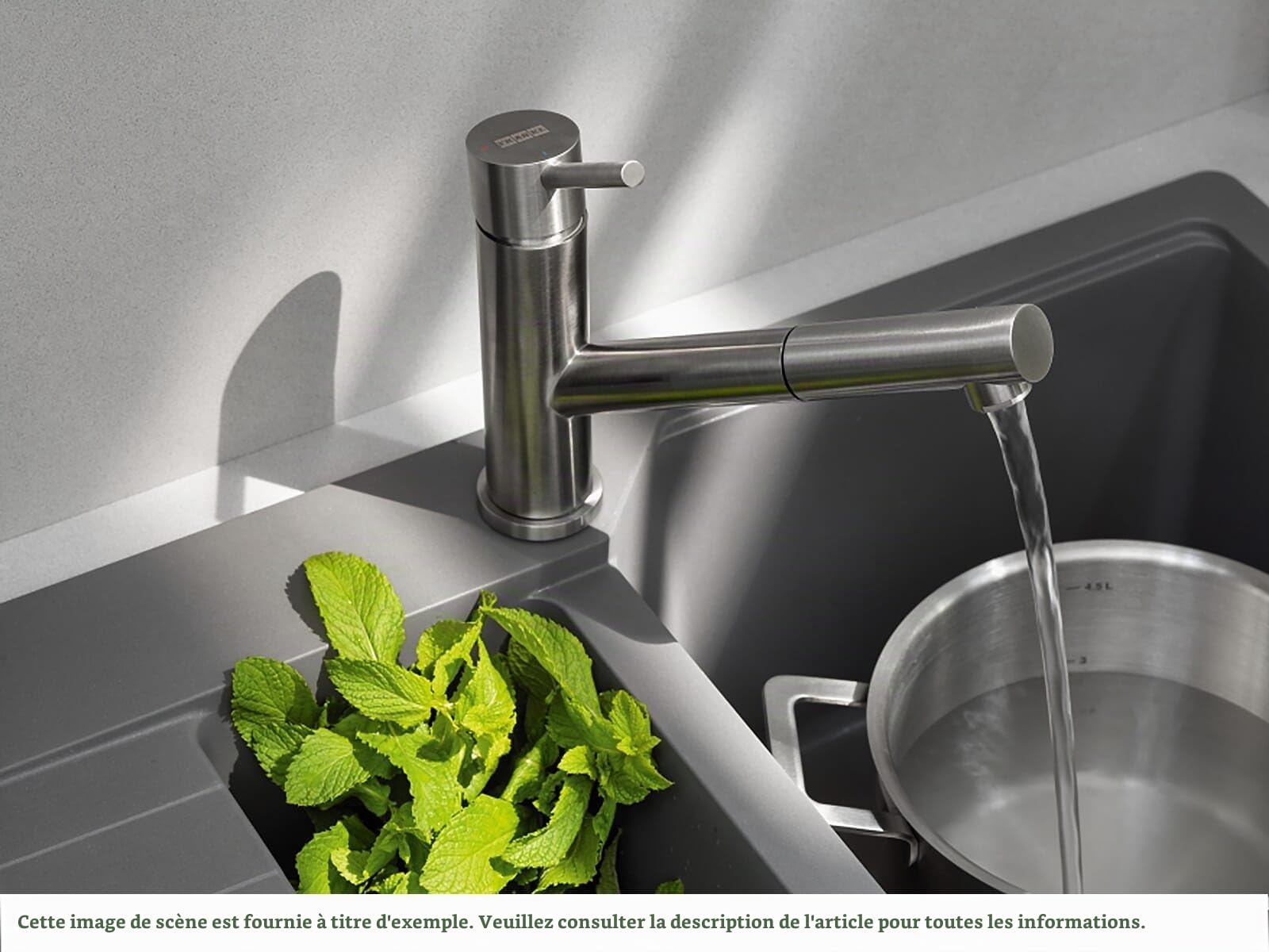 FRANKE; Robinet de cuisine Orbit Pull-Out (115.0569.461); Couleur : inox