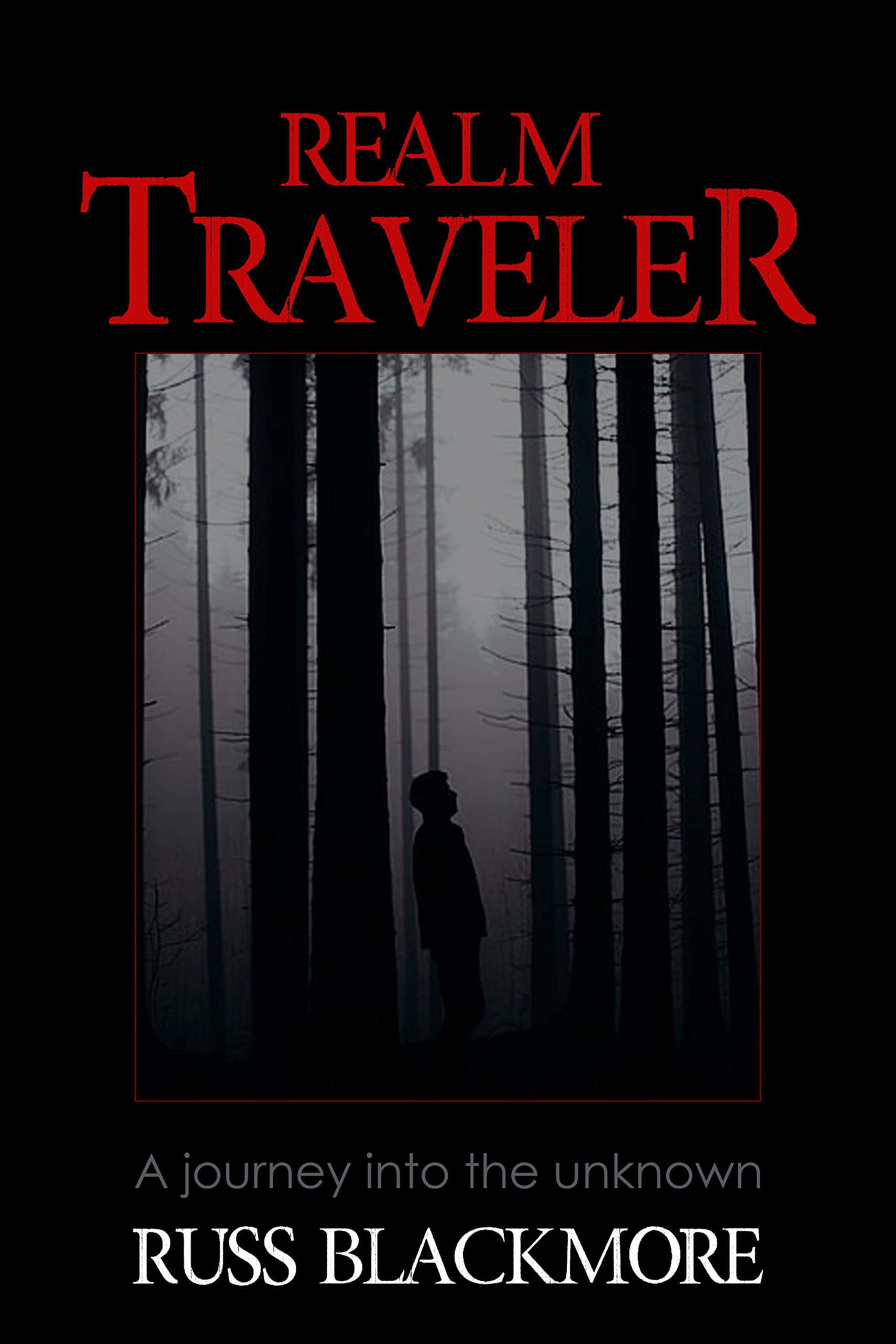 Realm Traveler: A Journey into the Unknown