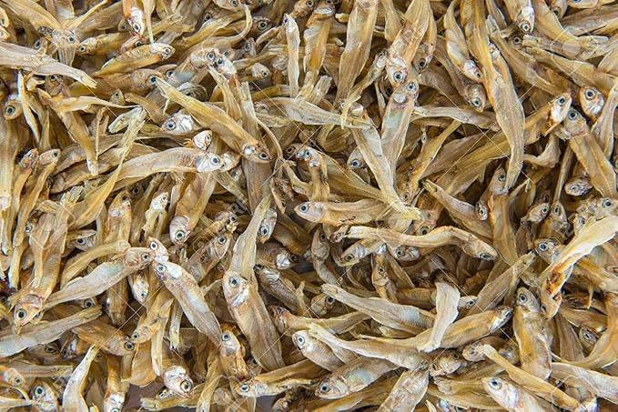 KALP SEA Food Dried Keski/Sparts ( Anchovy ) 200 grms