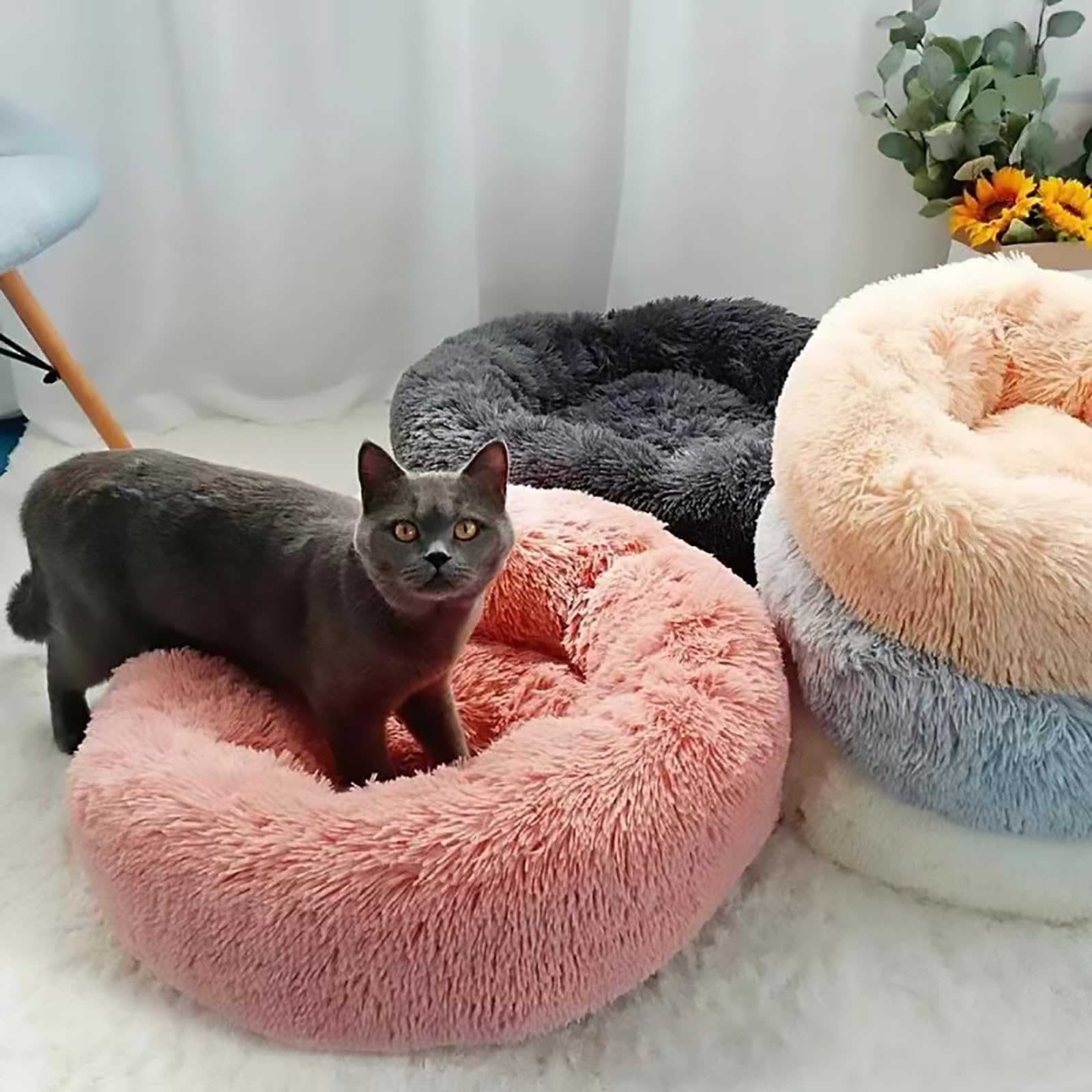 Aazon.co : FluffyDrea 36-Inch Donut Dog Bed, Caling Washable Plush