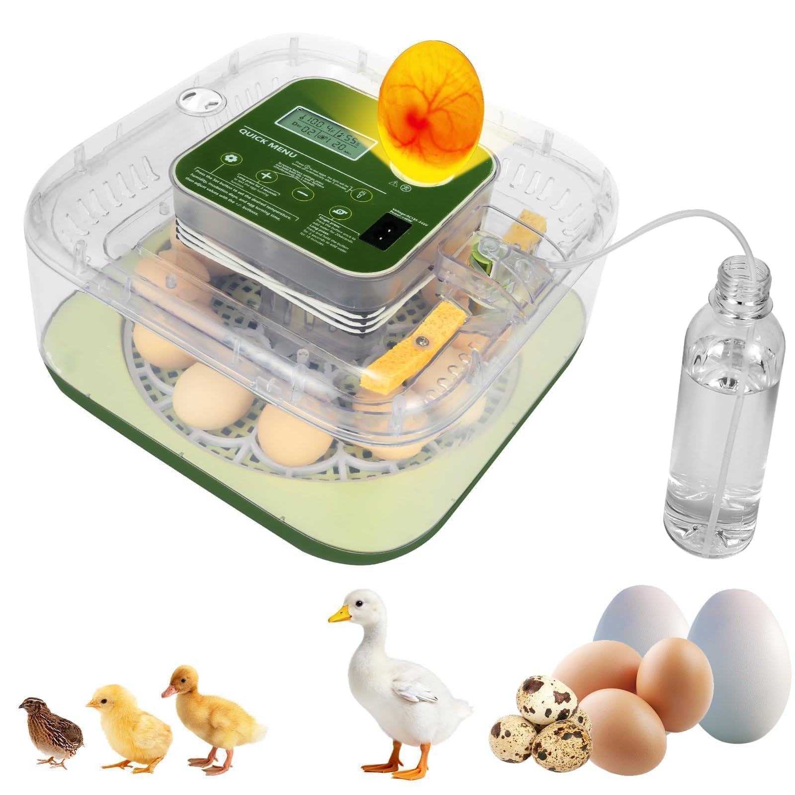 Incubateur à 12 œufs automatique pour couveuse de poule et oie