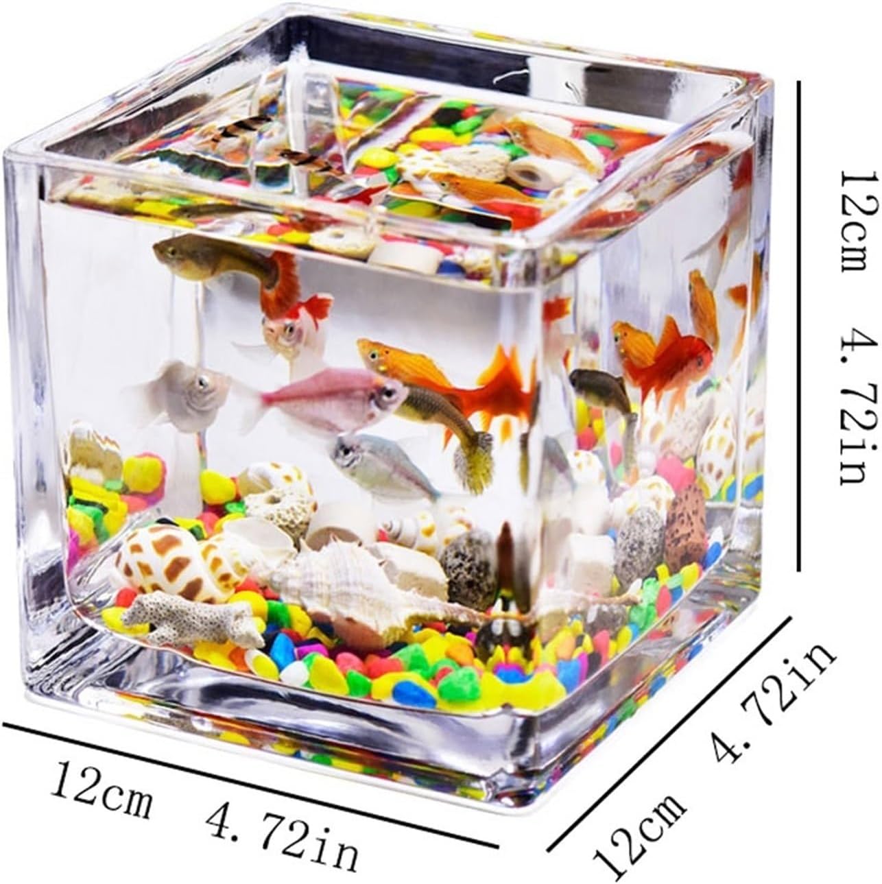 Fish Aquarium Tank Fish Tank Glass Square Thickened Transparent Aquarium Tank Countertop Small Home Tank for Aquariums Ecological Turtle Tank Aquarium Tank(Medium)
