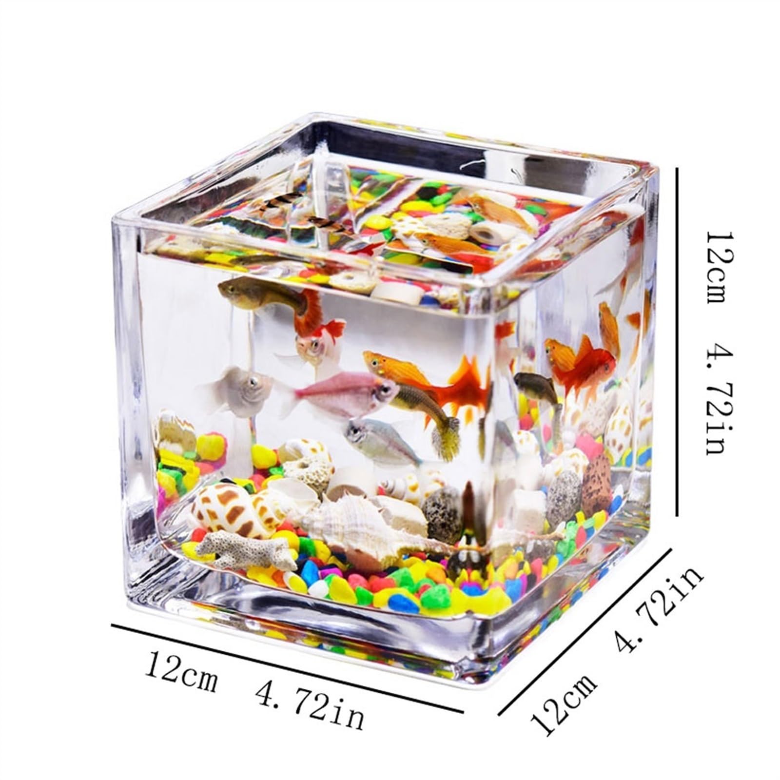 Acquario Acquario for pesci in vetro quadrato addensato trasparente for acquario, da appoggio, piccolo serbatoio domestico for acquari, for tartarughe ecologiche Acquario da tavolo(M)