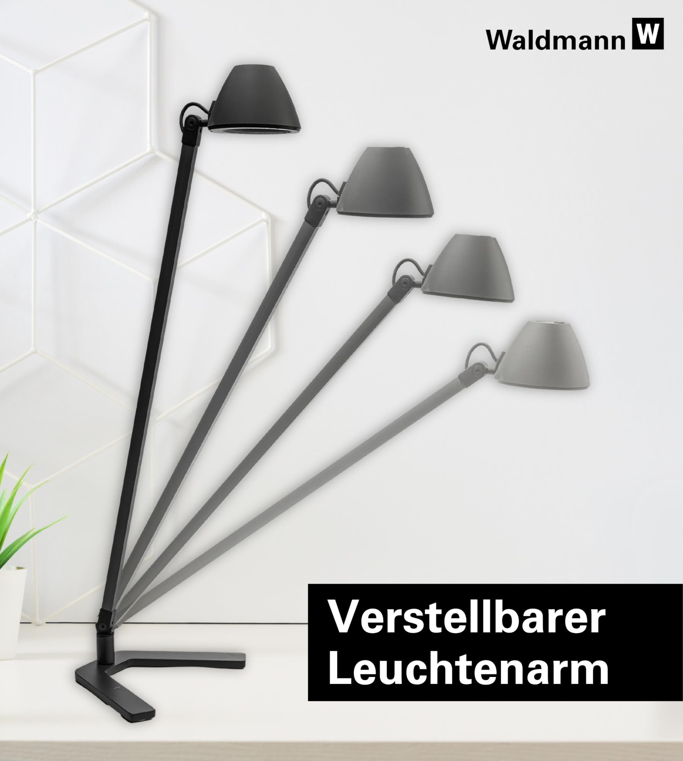 Waldmann Schreibtischlampe | LUCIO HOME | LED Tischlampe in Profi-Qualität für Homeoffice, Büro, Schreibtisch & Lernen | 4000 K (LUCIO)