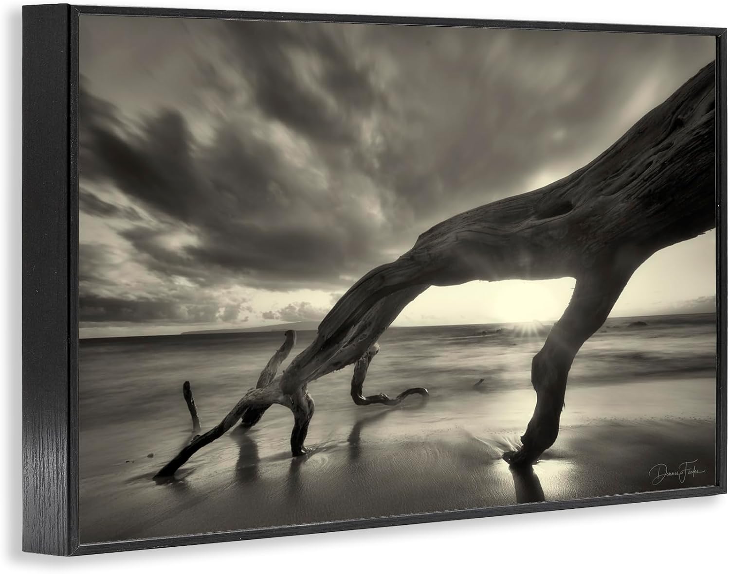 Stupell Industries Tree Trunk on Shore Framed Giclee Art Design by Dennis Frates