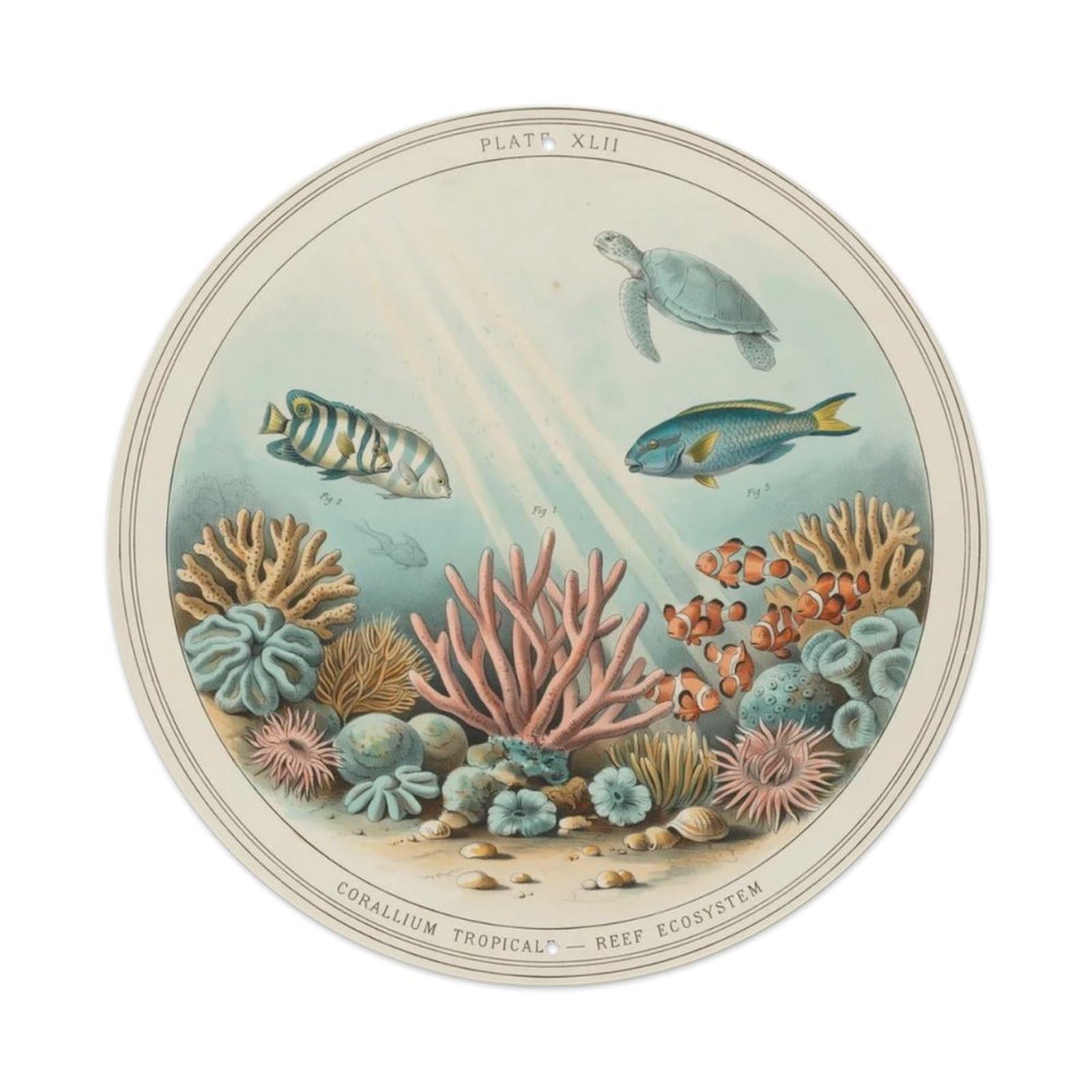 Vintage Coral Reef Metal Tin Sign Plaque