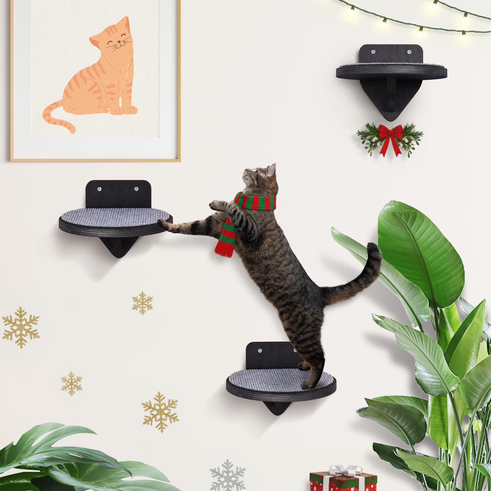 Premium Kletterwand Katzen aus Birkenholz | 3er-Set Katzentreppen mit Kratzflächen | Wandmontage Katzenleiter | Kletternetz für Katzen