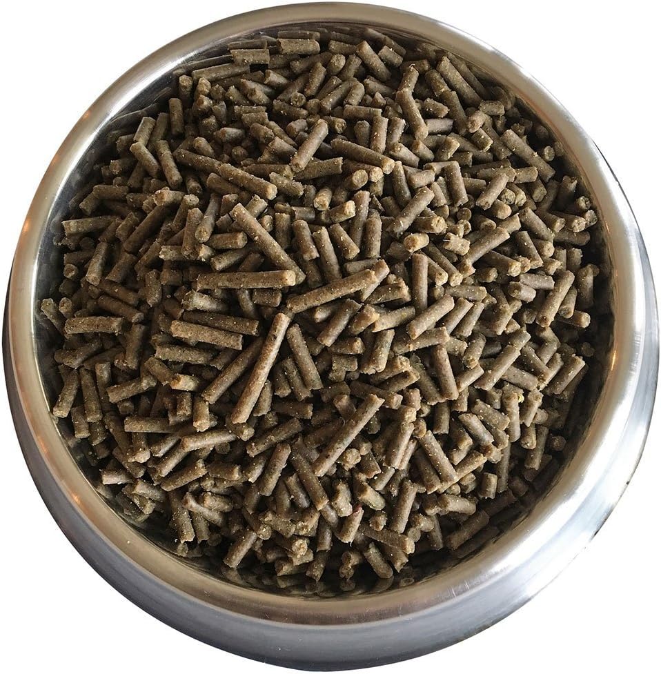 Doc's Choice Premium Lamb and Brown Rice Dog Food - Great for Adults, Puppies, Seniors and Weight Control, Veterinarian Developed, No Fillers/Artificial Ingredients, Made in The USA