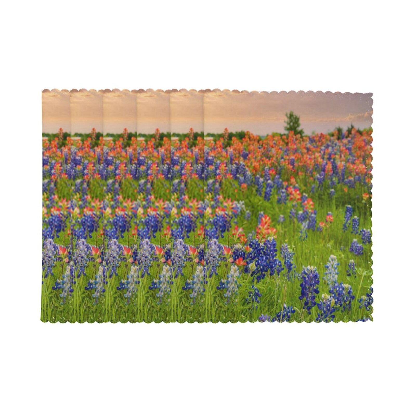 6 PCS Heat Resistant Placemat 45x30 CM, Texas Bluebonnets Scenery Printed Non-Slip Place Mats for Kitchen Dining Table Indoor Outdoor