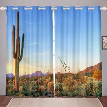Cactus Saguaro Window Curtains Kids Cactus Plants Sunset Landscape Wild Window Curtains for Bedroom Living Room Boys Girls Teens Green Blue Window Treatments,W46*L72