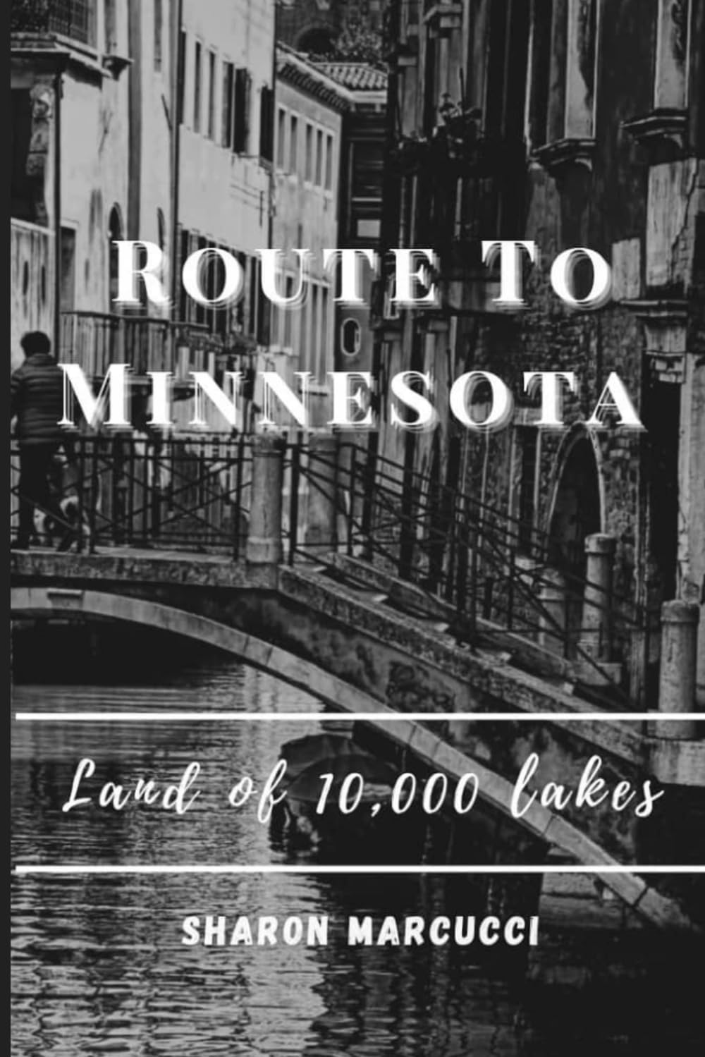 The Route to Minnesota: A proper guide to Minnesota a state in the Upper Midwest region of the United State. (TRAVEL GUIDE)