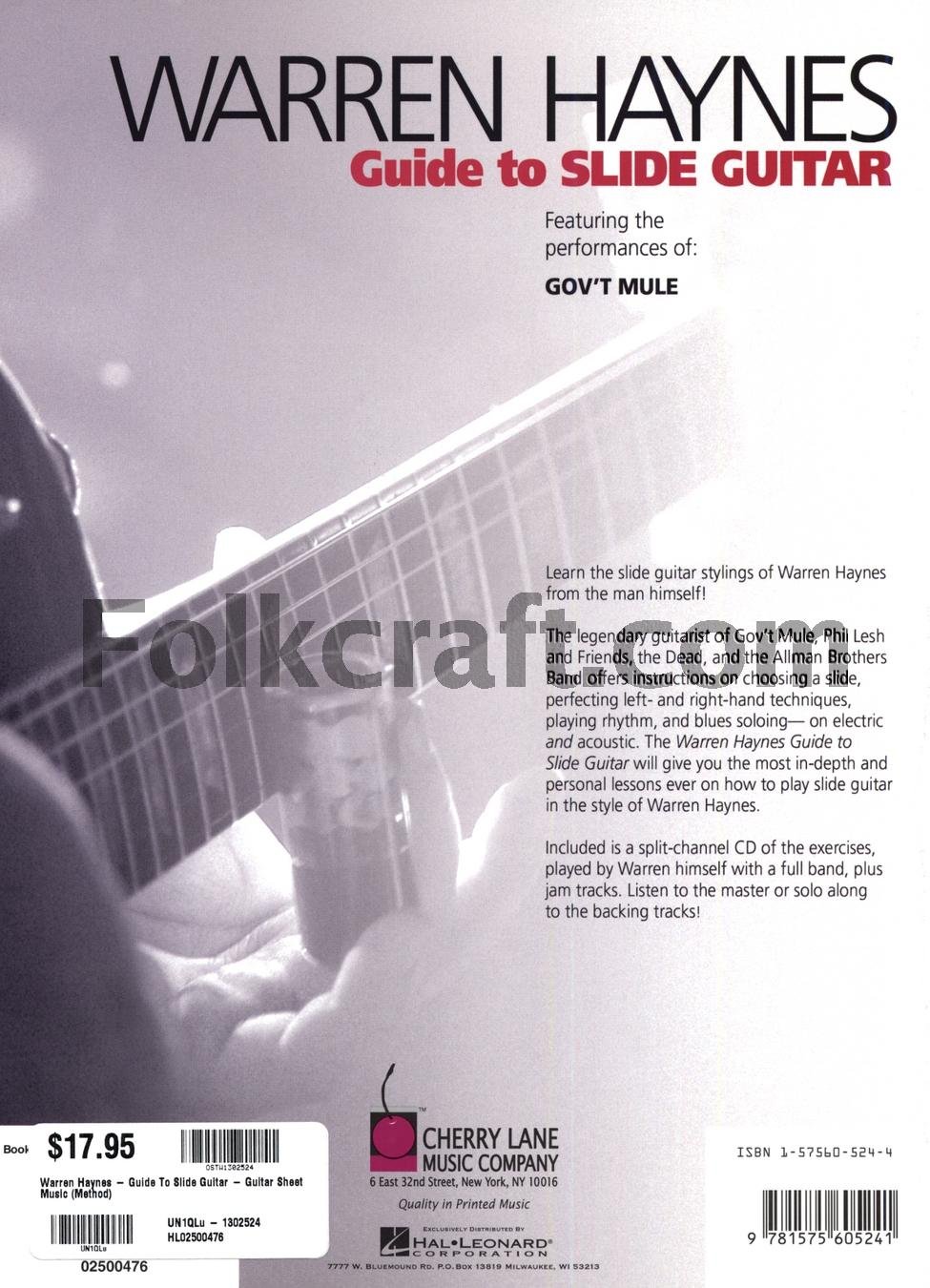 Warren Haynes - Guide to Slide Guitar - Image 2
