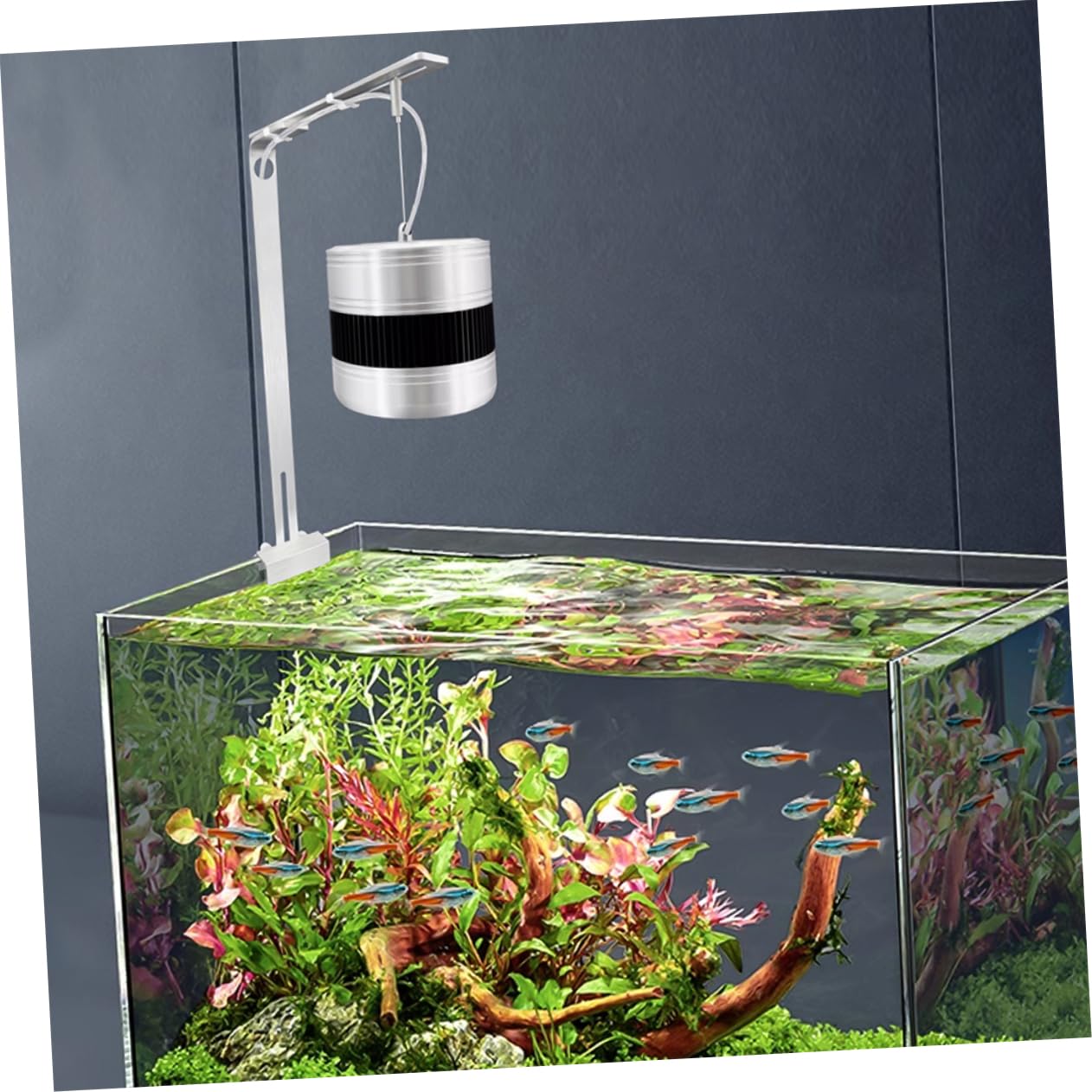 BESPORTBLE 2 Stücke Aluminium Legierung Aquarium Licht Halter Verstellbare Klemme Lampe Hängen Halterung Metall Unterstützung Für Glas Terrarium Aquarium