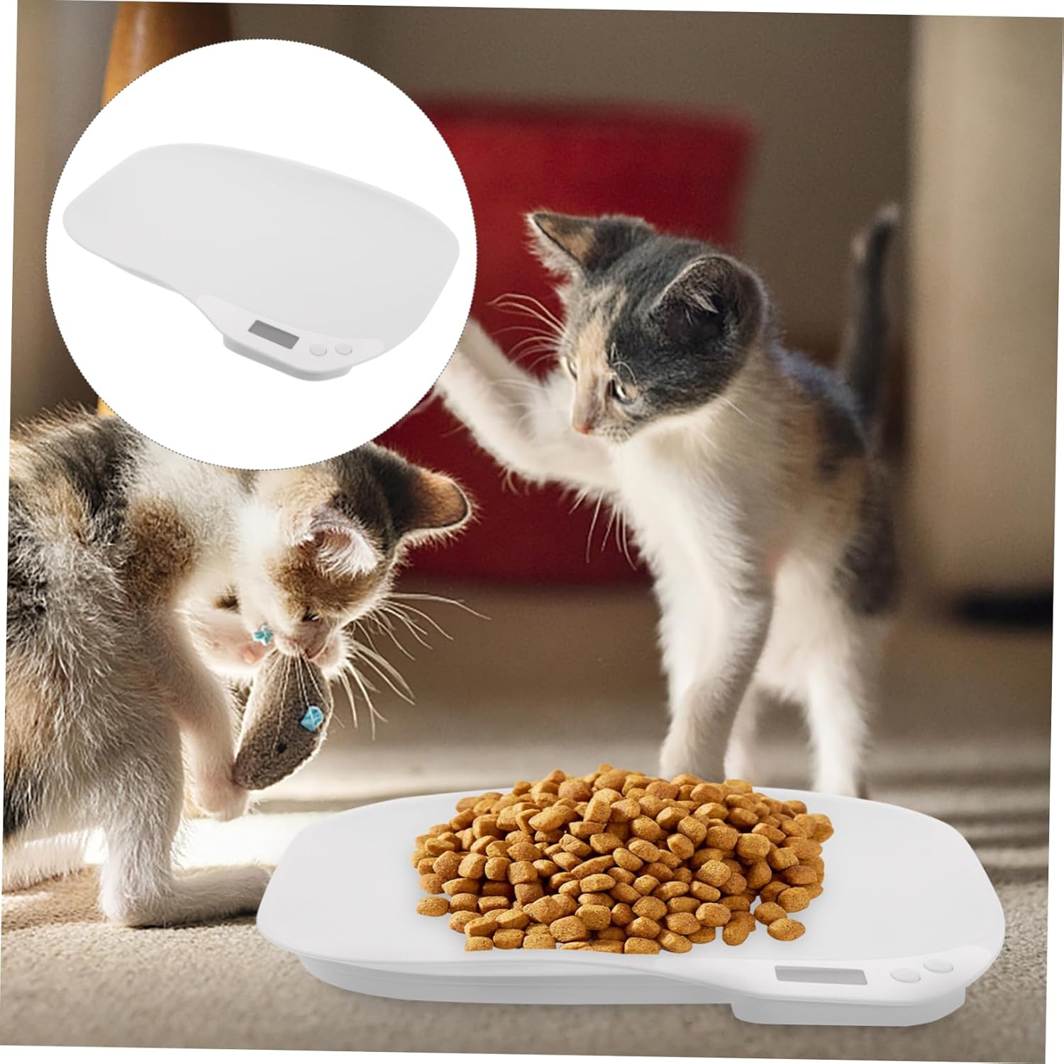 Healifty Digital Household Pet Scale Lightweight Portable Electronic Puppy and Kitten Weight Measuring Device for Accurate Food and Medicine Dosage