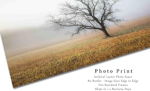 Miniatura 2 de Nature Photography Print (Not Framed) Picture of Tree Shrouded in Fog on Autumn Morning in Great Smoky Mountains Tennessee Appalachian Wall Art