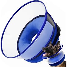 Inflatable Dog Cone Collar with Detachable Shield, Blue, L