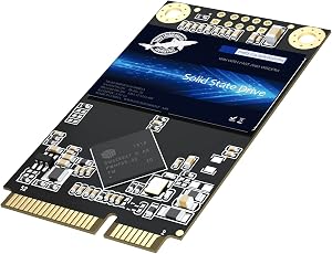 SSD SATA mSATA 64GB Dogfish Internal Solid State Drive High Performance Hard Drive Desktop Laptop SATA III 6Gb/s (64GB,MSATA)