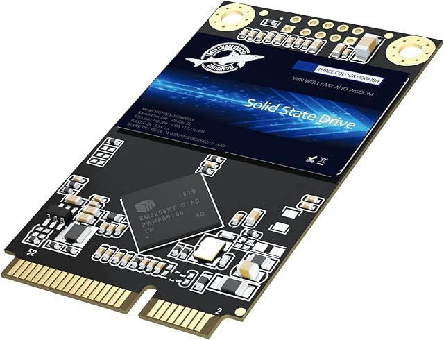 SSD SATA mSATA 512GB Dogfish Internal Solid State Drive High Performance Hard Drive Desktop Laptop SATA III 6Gb/s (512GB, MSATA)
