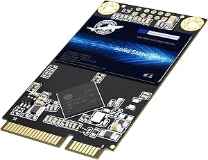 Dogfish mSATA SSD 128 GB 3D NAND TLC SATA III 6 Gb/s, mSATA (30 x 50,9 mm) Drive interno de estado sólido - Compatível com laptop PC Desktop - (DFM 128 GB)