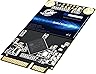 Dogfish mSATA SSD 500 GB 3D NAND TLC SATA III 6 Gb/s, mSATA (30 x 50,9 mm) Drive interno de estado sólido - Compatível com laptop PC Desktop - (DFM 500GB)