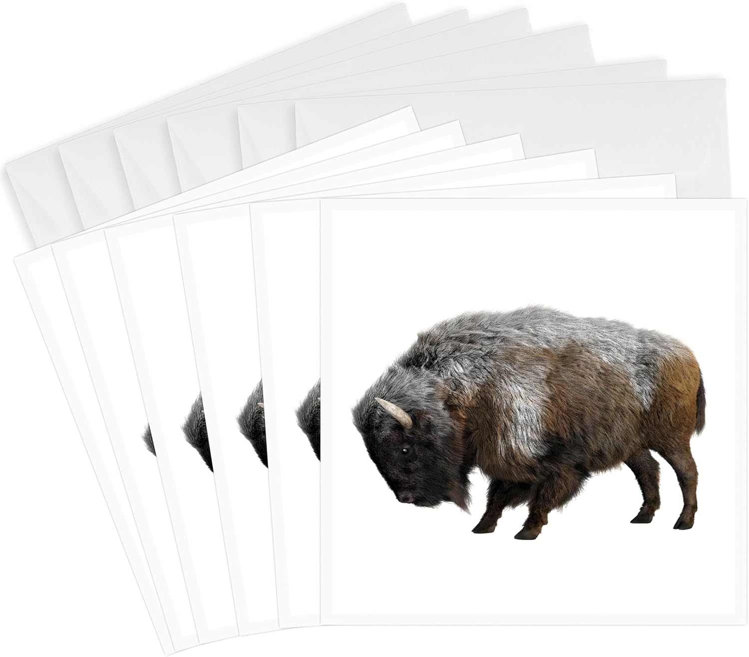 American Bison in Winter - Greeting Cards, 6 x 6 inches, set of 6 (gc_218905_1)