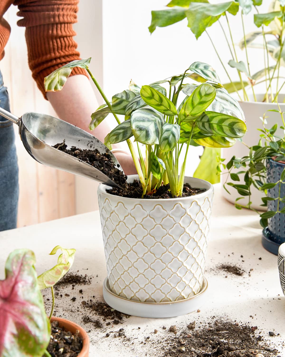 LE TAUCI Vasi in ceramica per piante, vasi per piante da 13 cm con foro di drenaggio e piattino, vasi per piante grasse, piante serpenti e cactus, vasi da fiori, set da 2, smalto reattivo bianco