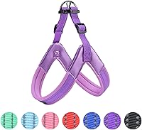 Vista 9 de EXCELLENT ELITE SPANKER Arnés sin tirones para perro, chaleco reflectante ajustable, suave acolchado, correa para el pecho de fácil mascota