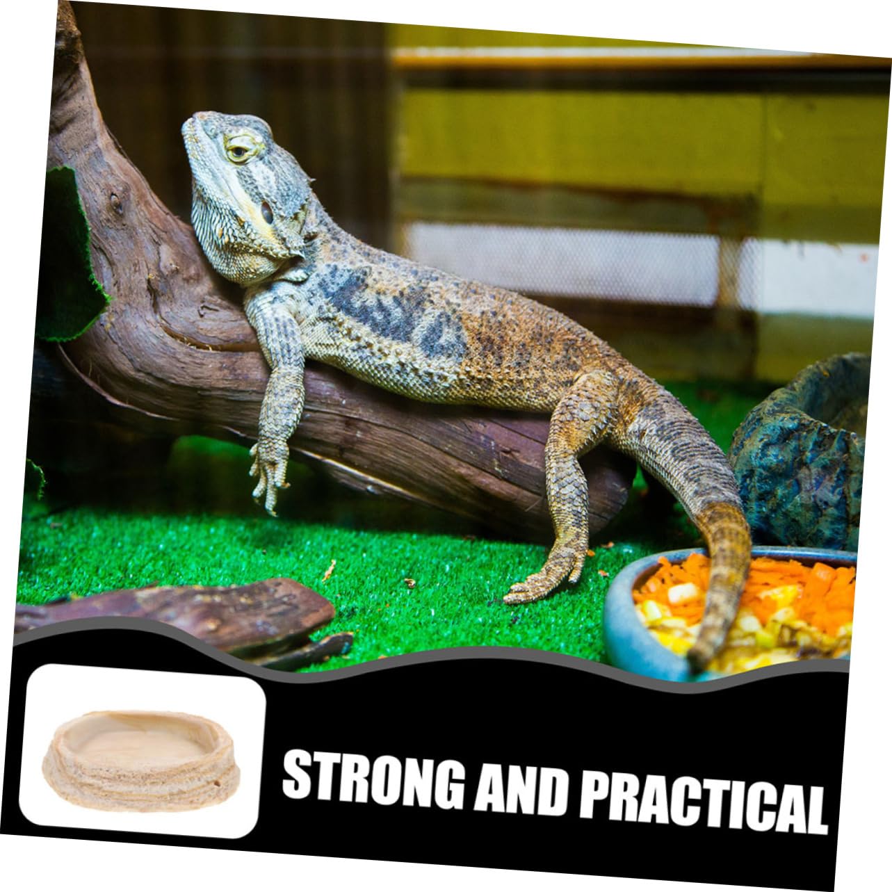 2 Cuencos de Resina para Comedero de Reptiles, Diseño de Espacio y Borde Antivuelco, para Lagartos, Geckos y Tortugas en Terrarios