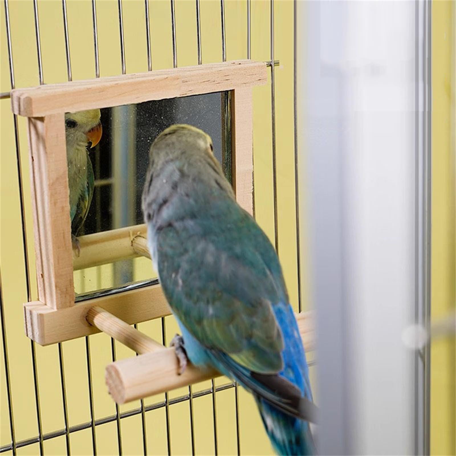 Amazon.co.jp: インコ鏡 鳥ミラーおもちゃ鳥ミラー鳥スタンドミラー