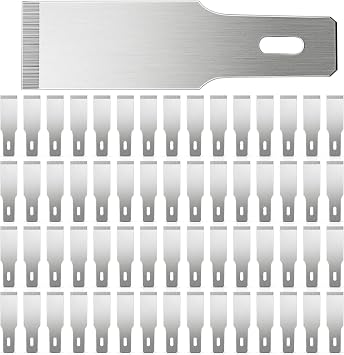 Zhehao 60 Pack Size 18 Chisel Blades, Replacement with Box