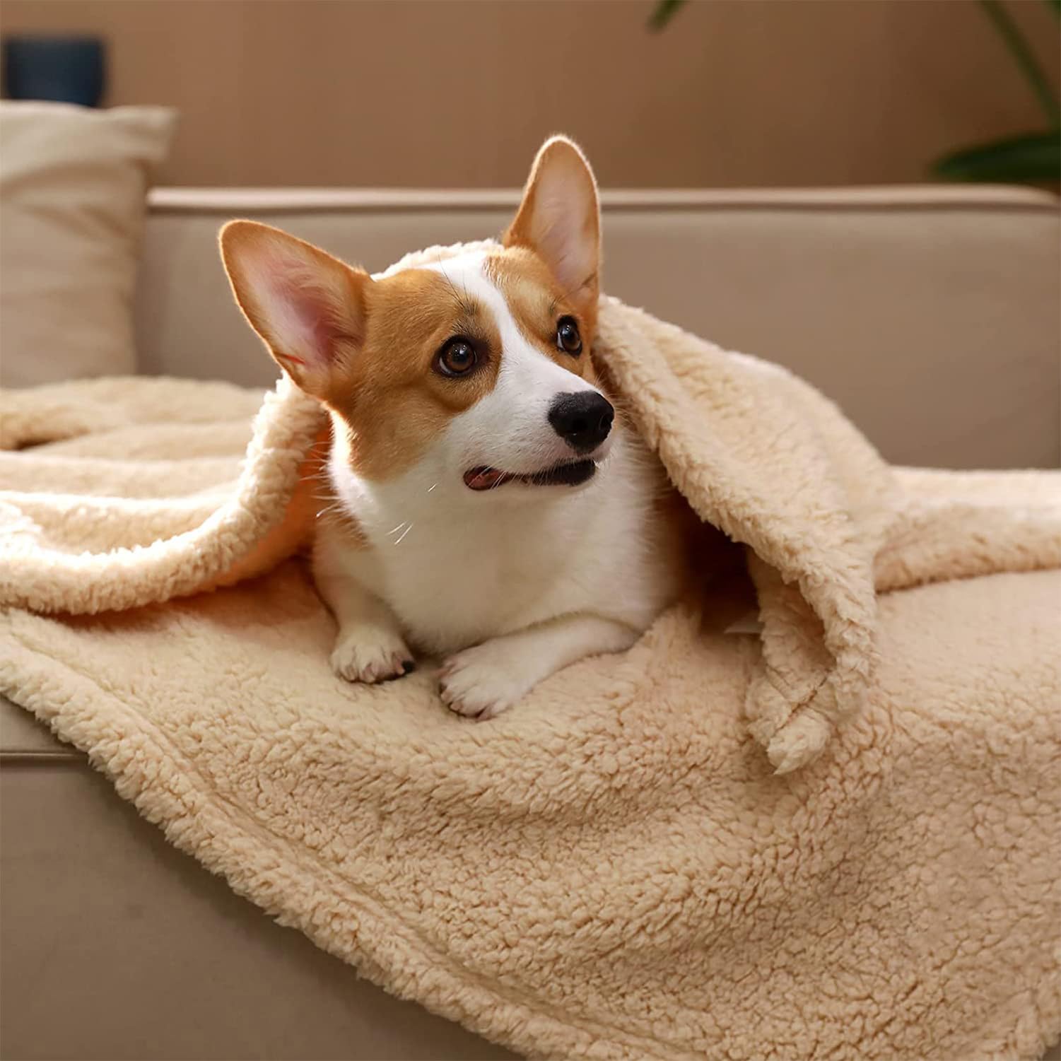 Wlian Waterproof Dog Blanket, Large 165x210cm Reversible Pet Throw – Soft, Durable & Washable Sofa or Bed Protector, Beige