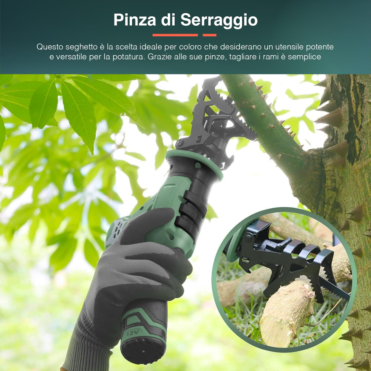 Avilia Sierra alternativa a batería para poda – Sierra cortadora inalámbrica, con zapato inclinable 45°, 1300 mAh, corte madera y yeso 90 mm, metal 3 mm, 3 cuchillas incluidas, 12 V