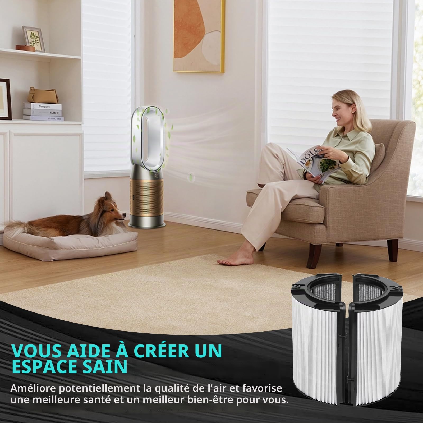 Filtre de rechange H13 HEPA 360° en verre véritable avec filtre à charbon compatible avec Dyson TP10 HP10 HP09 TP09 HP07 TP07 TP06 HP06 HP04 TP04 PH04 PH03 PH02 PH01 DP04 HP4B PH3A TP7A TP7C TP4A TP4B | HP10 HP09 TP09 HP07 TP07 TP06 HP06 PH04 PH03 PH02 PH