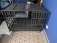 Review Image by Regular online shopper
