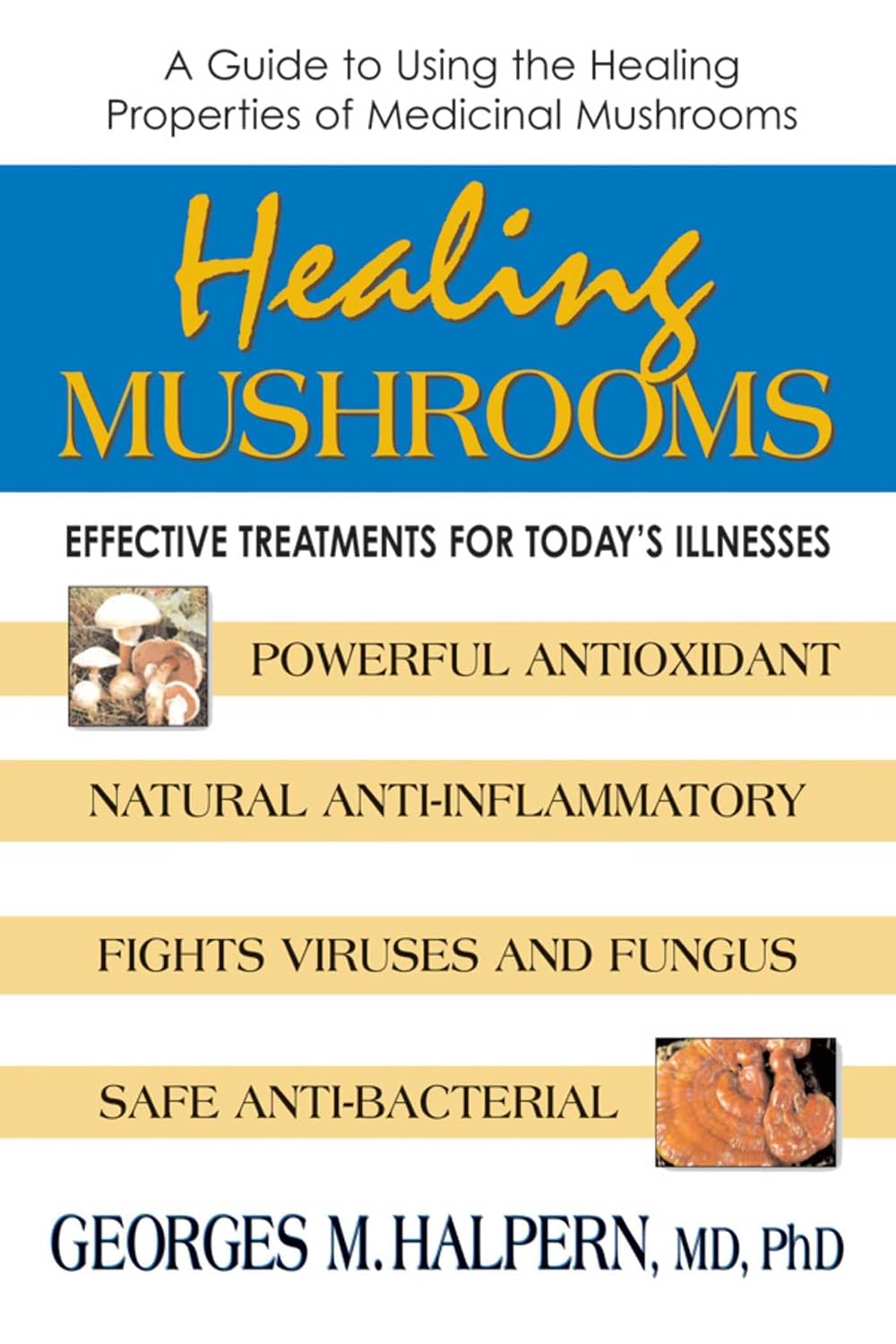 Healing Mushrooms: Effective Treatments for Today's Illnesses