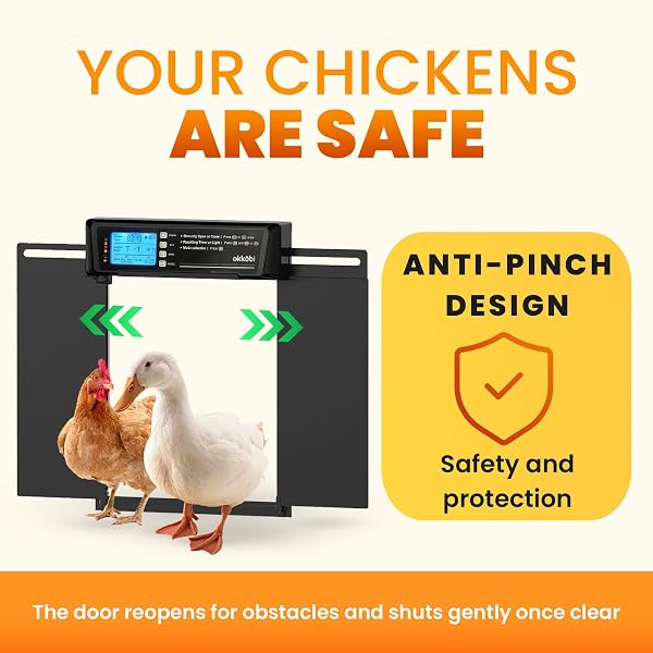 Extra Large Automatic Chicken Coop Door Solar Powered with Remote – LCD Display, Light Sensor, Timer & Anti-Pinch Function – 28.7 cm x 22.1 cm Door Opening – 5-Year Protection – Black – by Okköbi - 4
