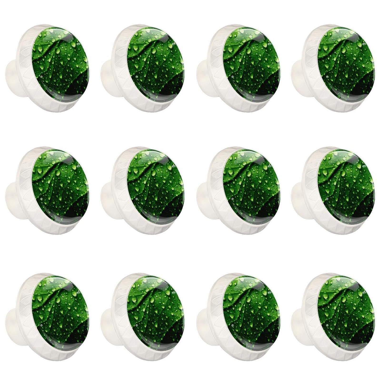 Armoire tiroirs de placard sublimés par 12 boutons feuille nature