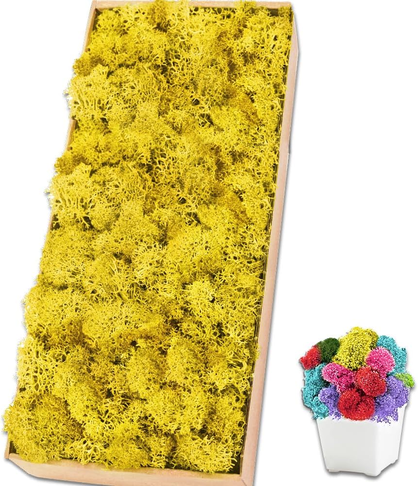 Preserved Reindeer Moss 17.6 OZ Yellow Natural for Crafts, DIY Gift Christmas Decor, Wall Art, Potted Plants, Floral Fake Moss for Easter Table Decor Wedding Decorative(1.1 LB, Yellow)