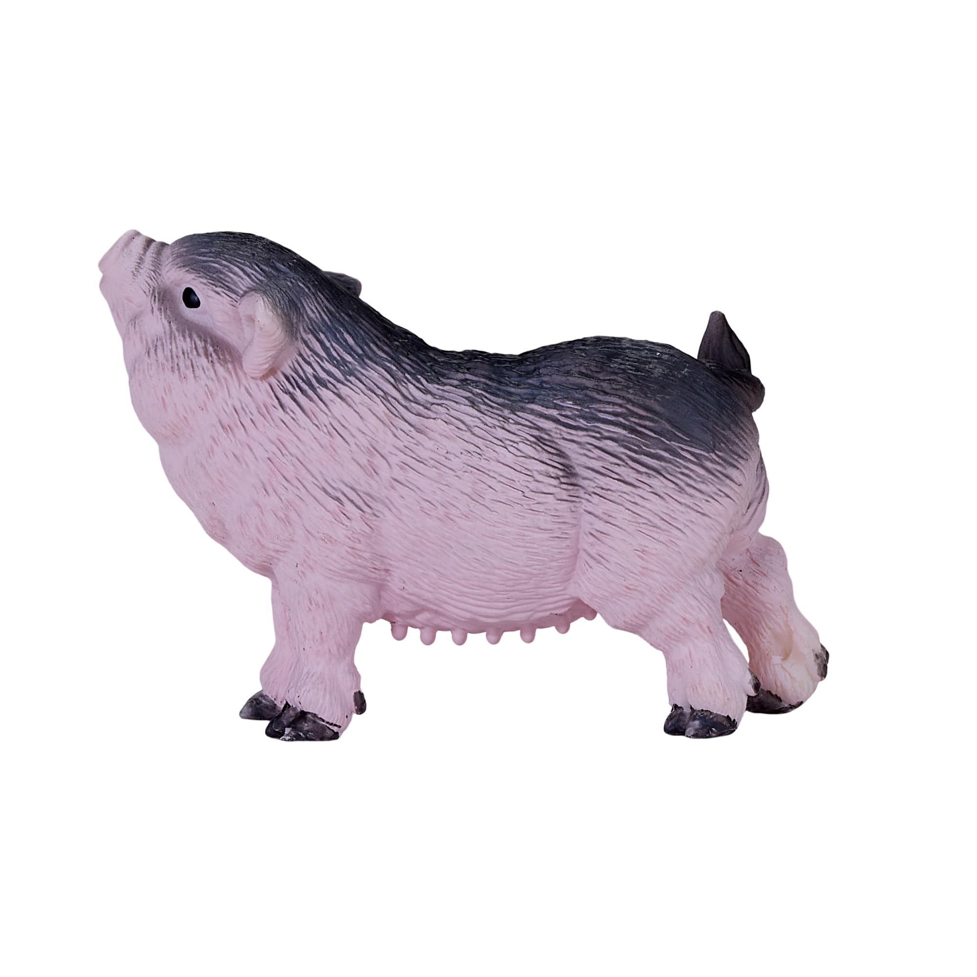 MOJO - Pot Bellied Piglet - Image 4